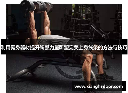利用健身器材提升胸部力量雕塑完美上身线条的方法与技巧