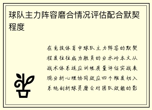 球队主力阵容磨合情况评估配合默契程度