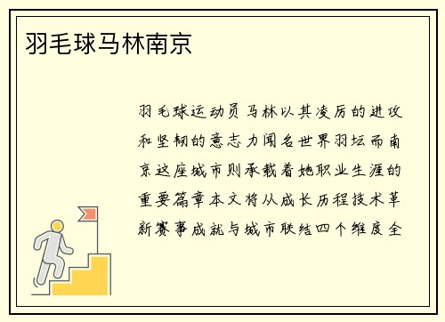 羽毛球马林南京