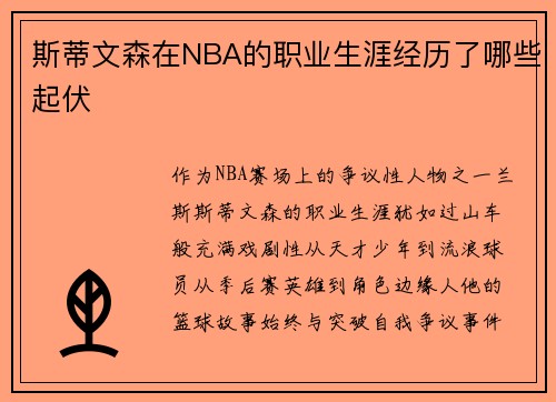 斯蒂文森在NBA的职业生涯经历了哪些起伏